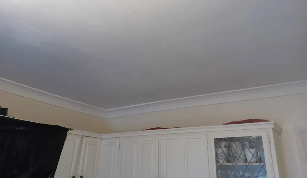 Ceiling Repair After