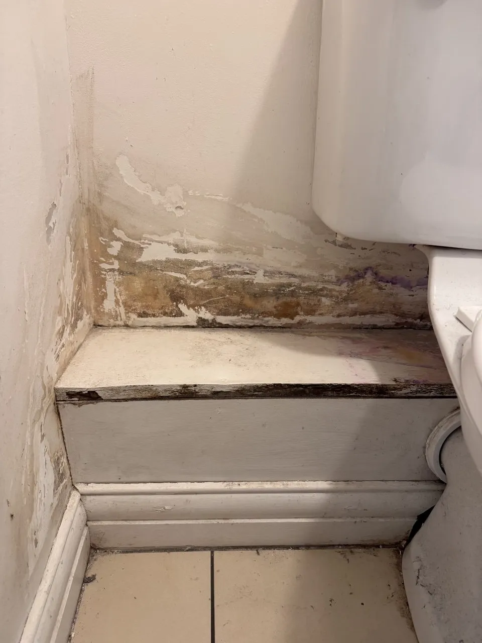 Stain treatment behind toilet - Before